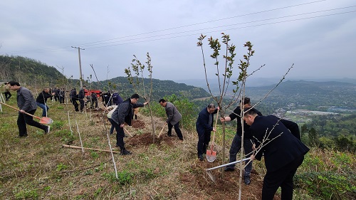 揮汗添新綠 植樹(shù)正當(dāng)時(shí).jpg